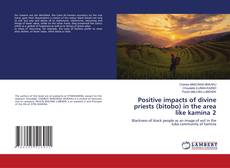 Buchcover von Positive impacts of divine priests (bitobo) in the area like kamina 2