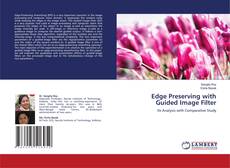 Copertina di Edge Preserving with Guided Image Filter