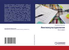 Buchcover von Лингвокультурология