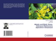 Buchcover von Abiotic and Biotic Stress-Tolerance Mechanisms Operative in Brassicace