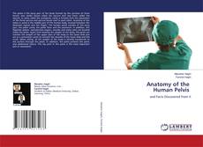 Portada del libro de Anatomy of the Human Pelvis