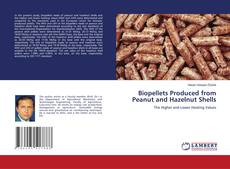 Buchcover von Biopellets Produced from Peanut and Hazelnut Shells