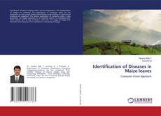 Buchcover von Identification of Diseases in Maize leaves