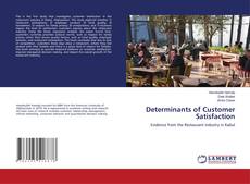 Buchcover von Determinants of Customer Satisfaction