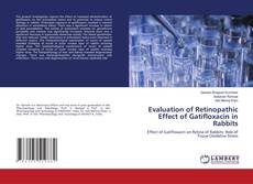 Copertina di Evaluation of Retinopathic Effect of Gatifloxacin in Rabbits
