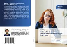Copertina di Welfare: It’s Impact on Productivity and Motivation of Employees