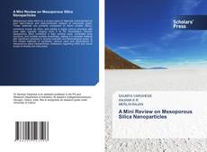 Copertina di A Mini Review on Mesoporous Silica Nanoparticles