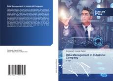 Data Management in Industrial Company的封面