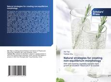 Bookcover of Natural strategies for creating non-equilibrium morphology
