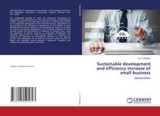 Buchcover von Sustainable development and efficiency increase of small business