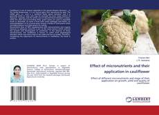 Buchcover von Effect of micronutrients and their application in cauliflower