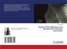 Buchcover von Study of the Efficiency of a Doubly FED Induction Generator