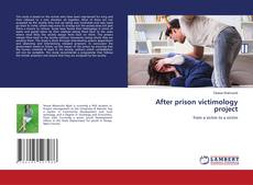 Copertina di After prison victimology project