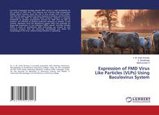 Buchcover von Expression of FMD Virus Like Particles (VLPs) Using Baculovirus System