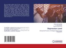 Capa do livro de Depression Level 