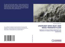 UNSTEADY MHD HEAT AND MASS TRANSFER FLOW kitap kapağı