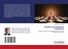 Positive and Negative Capitalism的封面