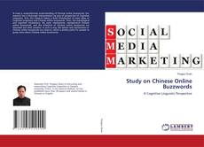 Study on Chinese Online Buzzwords kitap kapağı