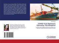 COVID-19 & Pakistan's Economy: The Blueprint kitap kapağı