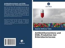 Portada del libro de Antibiotikaresistenz und ESBL-Produktion bei Enterobacteriaceae