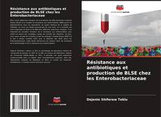 Bookcover of Résistance aux antibiotiques et production de BLSE chez les Enterobacteriaceae