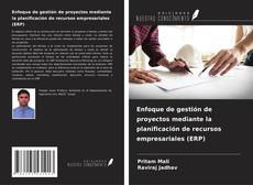 Buchcover von Enfoque de gestión de proyectos mediante la planificación de recursos empresariales (ERP)