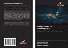 Buchcover von Irrigazione in endodonzia