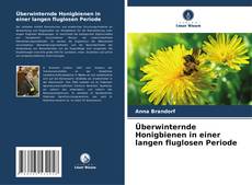 Bookcover of Überwinternde Honigbienen in einer langen fluglosen Periode