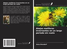Abejas melíferas invernantes en un largo periodo sin vuelo的封面
