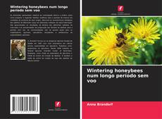 Capa do livro de Wintering honeybees num longo período sem voo 