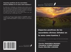 Impactos positivos de los sacerdotes divinos (bitobo) en la zona como kamina 2 kitap kapağı