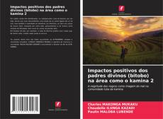 Copertina di Impactos positivos dos padres divinos (bitobo) na área como o kamina 2