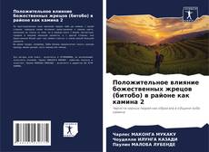 Borítókép a  Положительное влияние божественных жрецов (битобо) в районе как камина 2 - hoz