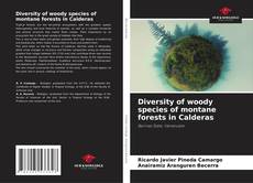 Portada del libro de Diversity of woody species of montane forests in Calderas