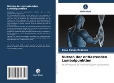 Nutzen der entlastenden Lumbalpunktion kitap kapağı