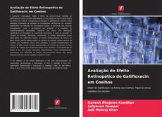 Avaliação do Efeito Retinopático do Gatifloxacin em Coelhos的封面