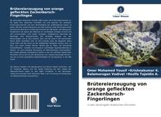 Buchcover von Brütereierzeugung von orange gefleckten Zackenbarsch-Fingerlingen