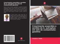 Buchcover von Crescimento anaeróbio e aeróbio de A. eutrophus em solo de contaminato-gasolina