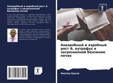 Copertina di Анаэробный и аэробный рост А. еутрофус в загрязненной бензином почве