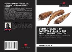 Copertina di DETOXIFICATION OF CASSAVA FLOUR IN THE FIGHT AGAINST KONZO