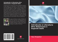 Introdução à Literatura Afro Americana e Gujarati Dalit kitap kapağı