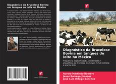 Diagnóstico da Brucelose Bovina em tanques de leite no México的封面