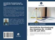 Bookcover of Gerichtliche Durchsetzung des Gesetzes Nr. 11/009 vom 09. Juli 2011