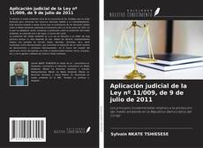 Обложка Aplicación judicial de la Ley nº 11/009, de 9 de julio de 2011