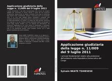 Bookcover of Applicazione giudiziaria della legge n. 11/009 del 9 luglio 2011