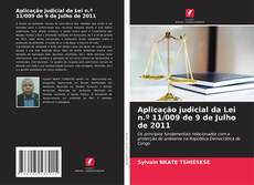 Copertina di Aplicação judicial da Lei n.º 11/009 de 9 de Julho de 2011