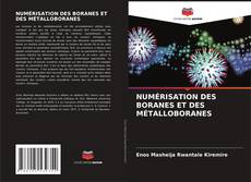 NUMÉRISATION DES BORANES ET DES MÉTALLOBORANES的封面