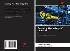 Copertina di Ensuring the safety of pipeline