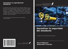 Capa do livro de Garantizar la seguridad del oleoducto 