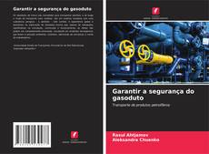 Bookcover of Garantir a segurança do gasoduto